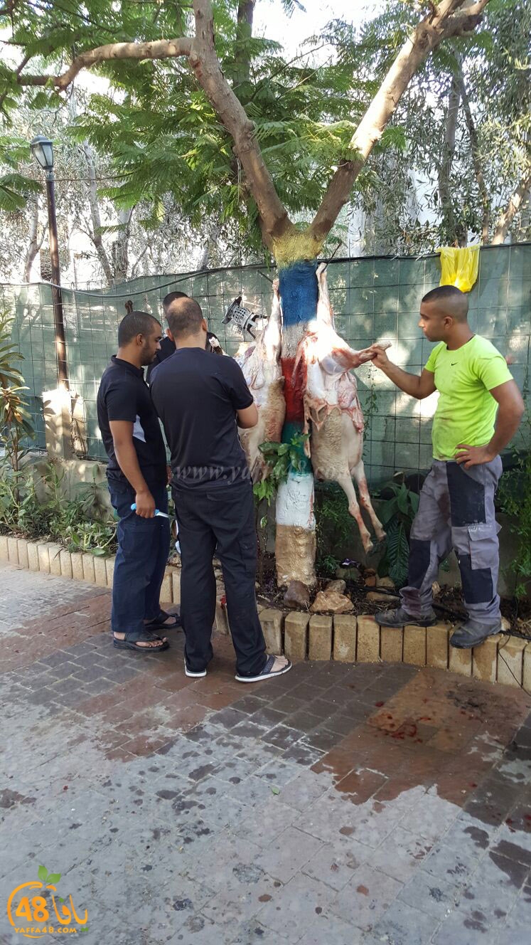 dab7 ada7y wu3ed (3).jpg